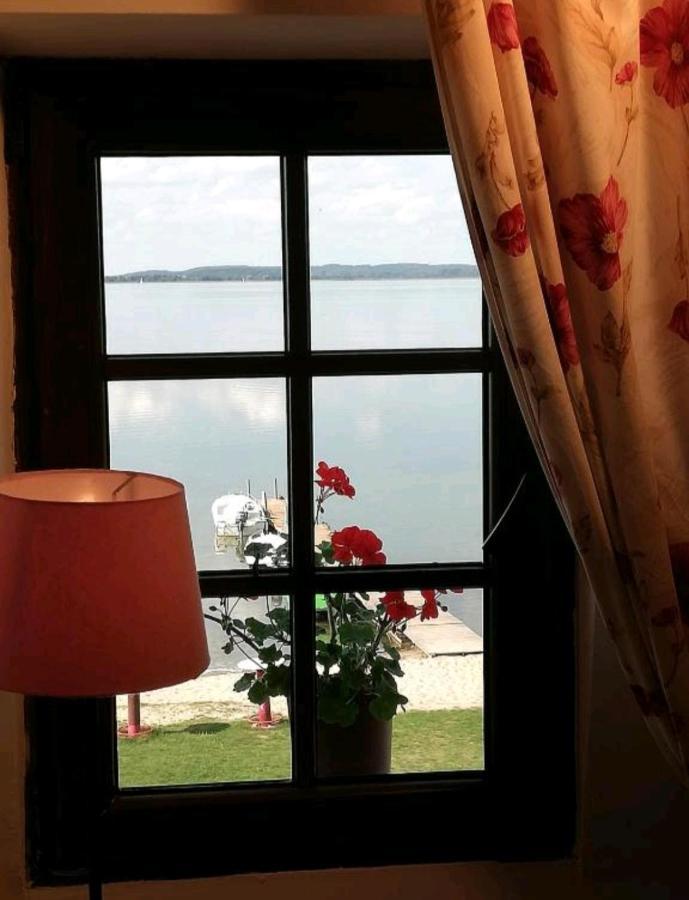 Bed and Breakfast Wiatrak Nowe Guty Exterior foto