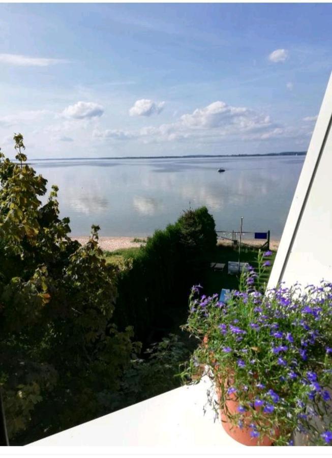 Bed and Breakfast Wiatrak Nowe Guty Exterior foto